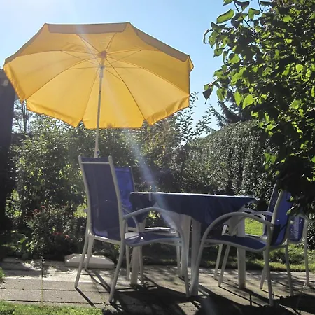 Reetwinkel In 비에크