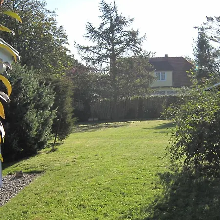 Reetwinkel In *