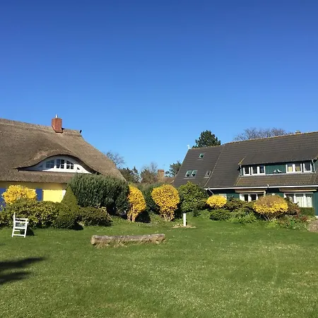 Reetwinkel In 비에크