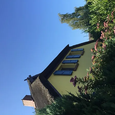 Reetwinkel In Wieck