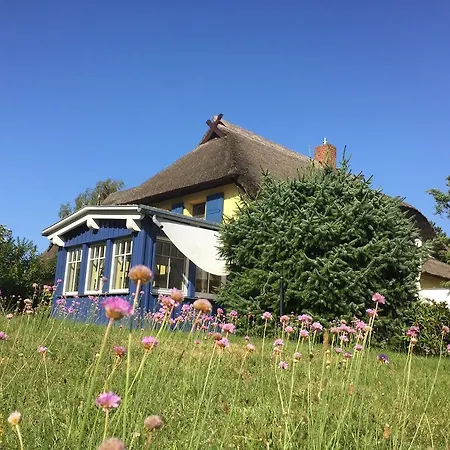 Reetwinkel In