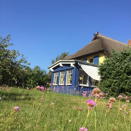 Apartment Reetwinkel In *