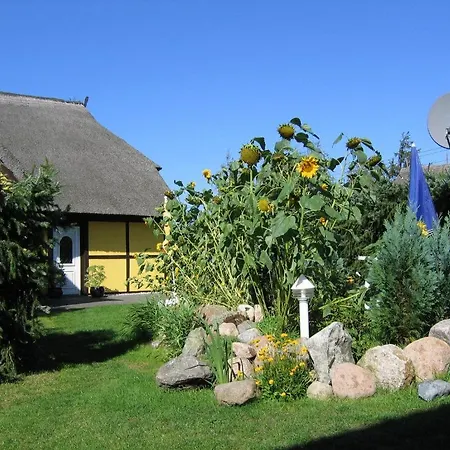 Reetwinkel In * Wieck